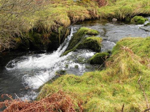 11.-Flowing-below-Mill-Hill-2