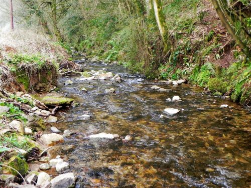 11.-Flowing-by-West-Wood-2