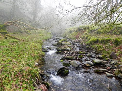 11.-Flowing-down-Bagley-Combe-2