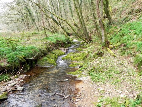 11.-Flowing-through-Snowdrop-Valley-2