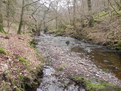 11.-Flowing-through-Wilmersham-Wood