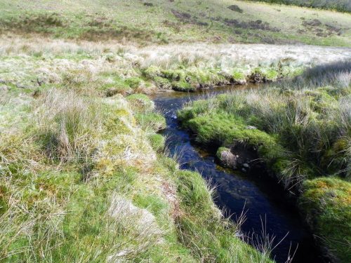 11.-Long-Holcombe-Water-joins-Sherdon-Water-2