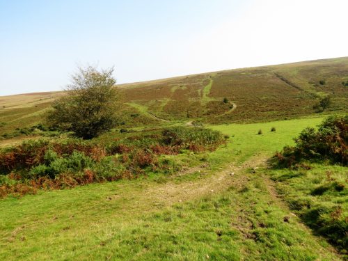 11.-Looking-across-to-Exe-Plain