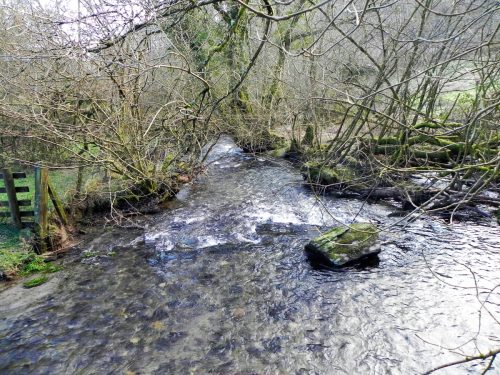 11.-Looking-downstream-from-ROW-bridge-2122-2
