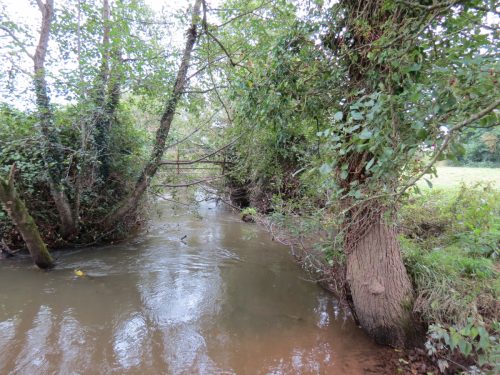 11.-Looking-downstream-to-ROW-Footbridge-No.-5177