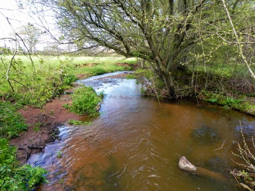 11.-Looking-upstream-from-Blackford-Road-Bridge-2