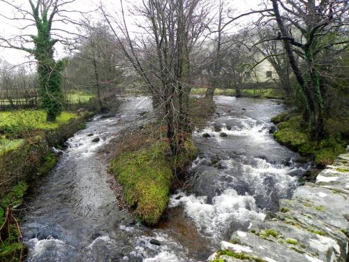 11.-Looking-upstream-from-Brendon-Bridge-2