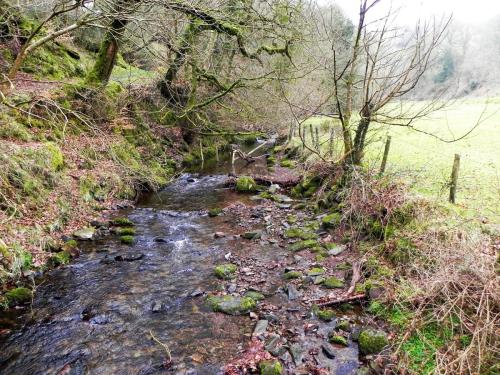 11.-Looking-upstream-from-ROW-Bridge-3334-2