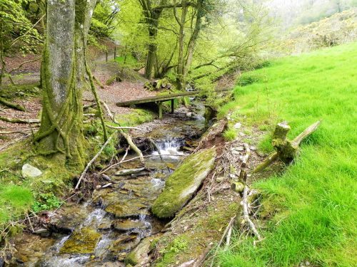 11.-Looking-upstream-to-Chargot-Woods-Accommodation-Bridge-2