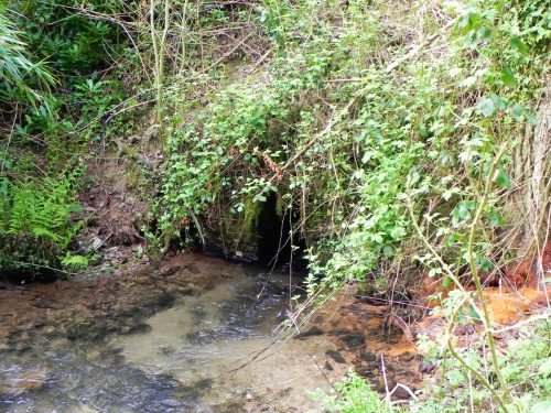 11.-Outlet-from-Chargot-House-pond-4