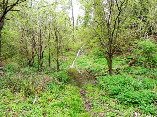 11.-Rivulet-joins-from-Cleeve-Copse-2