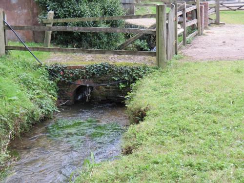 11.-Stawley-Mill-leat-downstream-from-weir