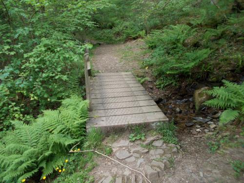 11.-Tributary-stream-Road-Wood-footbridge