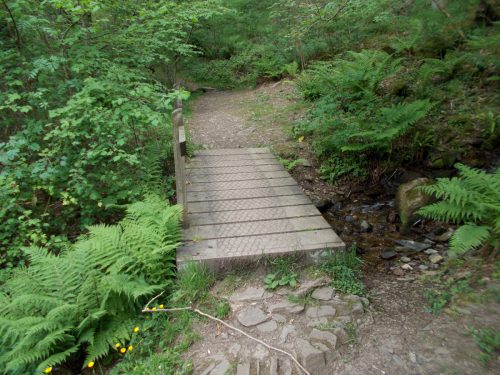 11.-Tributary-stream-Road-Wood-footbridge