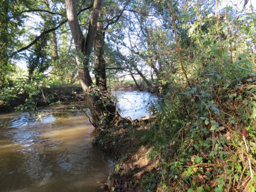11.-Upstream-from-Ash-Bridge-1