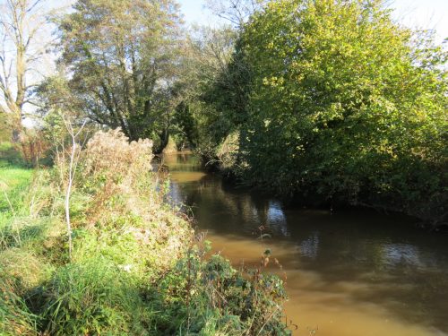 11.-Upstream-from-Ash-Bridge-10