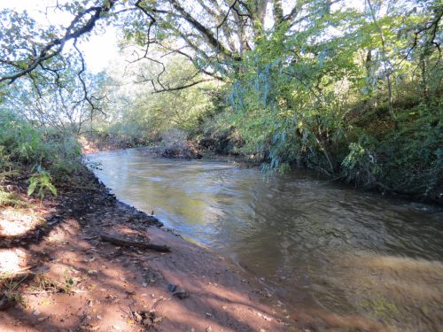 11.-Upstream-from-Ash-Bridge-2