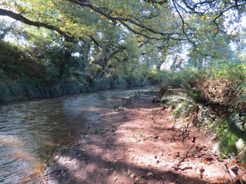 11.-Upstream-from-Ash-Bridge-3