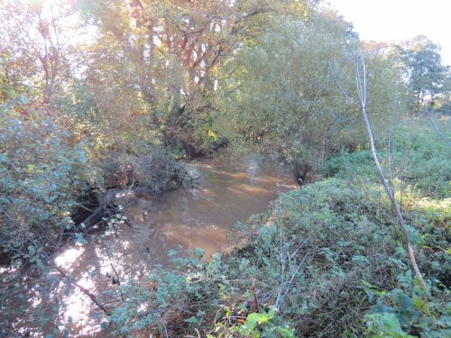 11.-Upstream-from-Ash-Bridge-4