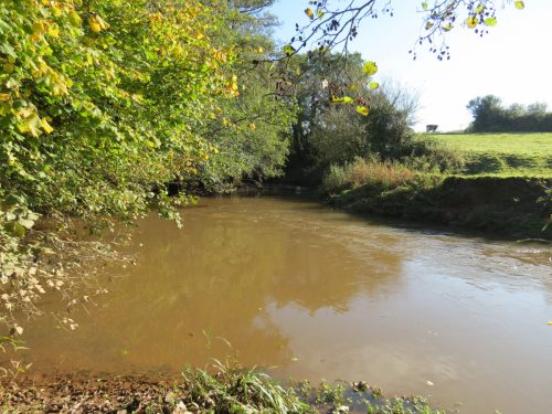 11.-Upstream-from-Ash-Bridge-5