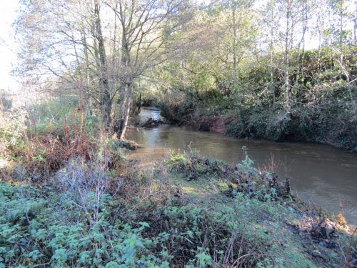 11.-Upstream-from-Ash-Bridge-6