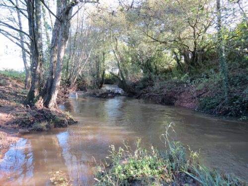 11.-Upstream-from-Ash-Bridge-8
