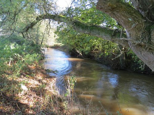 11.-Upstream-from-Ash-Bridge-9