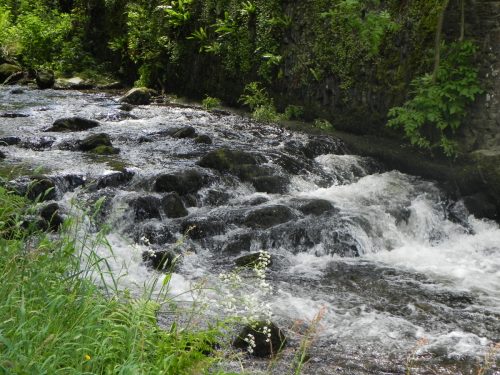 11.-Upstream-from-Cherry-Bridge-3