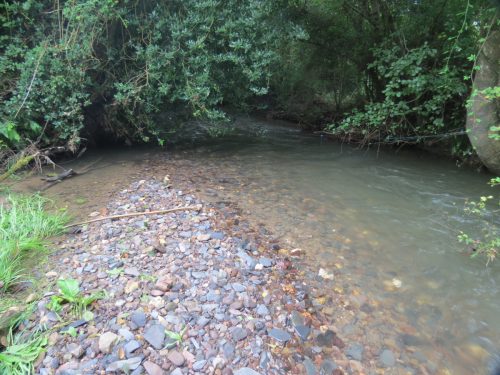 11.-Upstream-from-Greenham-11