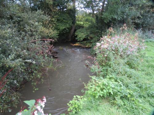 11.-Upstream-from-Greenham-13