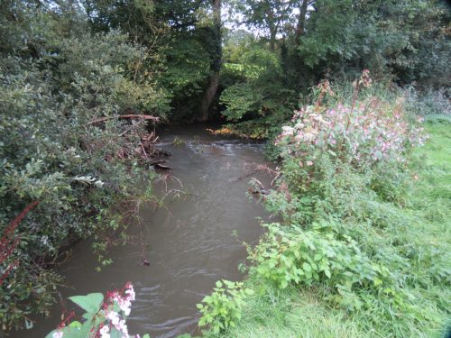 11.-Upstream-from-Greenham-13