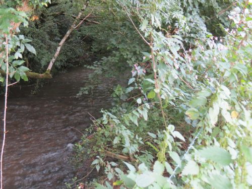 11.-Upstream-from-Greenham-14