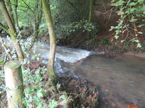 11.-Upstream-from-Greenham-4
