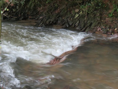 11.-Upstream-from-Greenham-5
