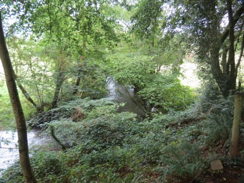 11.-Upstream-from-Greenham-6