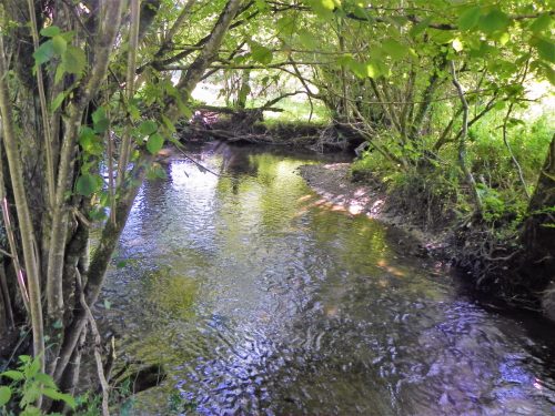11.-Upstream-from-Tuck-Mill-2
