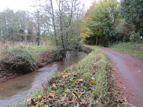 11.-Upstream-from-Wellisford-Bridge