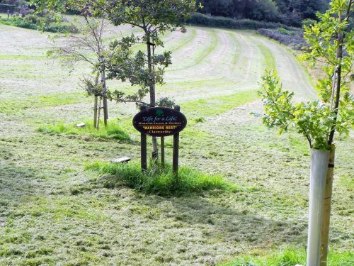 11.-Warriors-Rest-Clatworthy-Reservoir-2