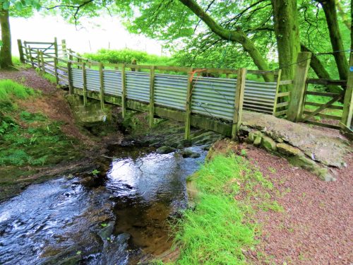 11.-Westrmill-Farm-West-Footbridge-3