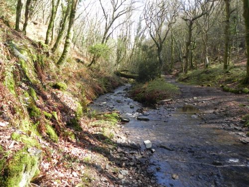 110.-Downstream-from-ROW-Bridge-3332