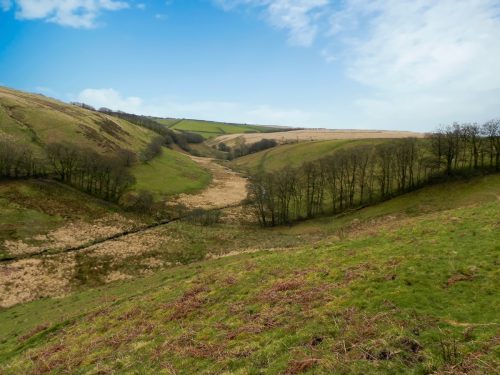 110.-Looking-downstream-to-Long-Holcombe-Water-2