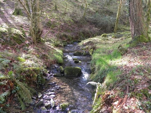 111.-Downstream-from-ROW-Bridge-3332