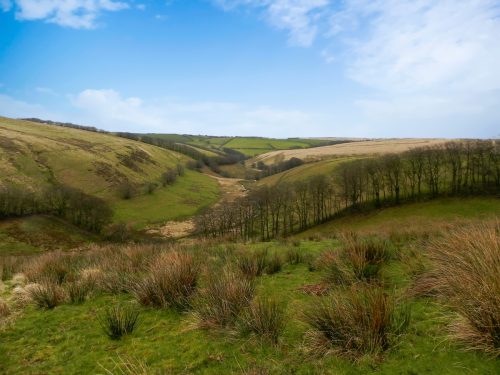 111.-Looking-downstream-to-Long-Holcombe-Water-2