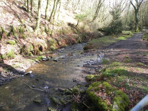 112.-Downstream-from-ROW-Bridge-3332