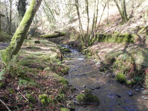 113.-Downstream-from-ROW-Bridge-3332