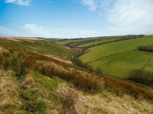 113.-Looking-upstream-from-Long-Holcombe-2