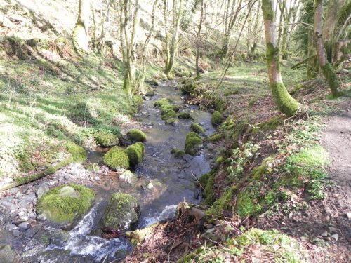 114.-Downstream-from-ROW-Bridge-3332