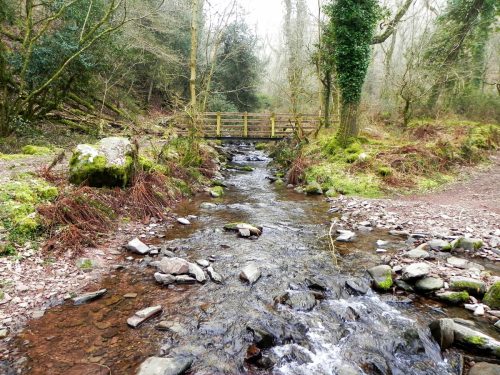 114.-Looking-upstream-to-ROW-Bridge-3251-East-Water-Valley-2