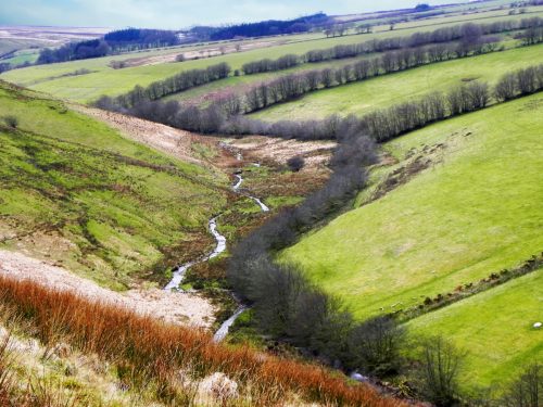 114.-Valley-below-Wintershead-Farm-2