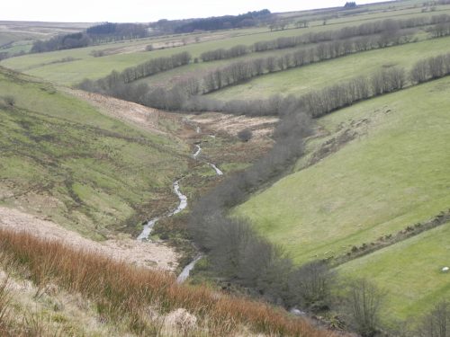 114.-Valley-below-Wintershead-Farm